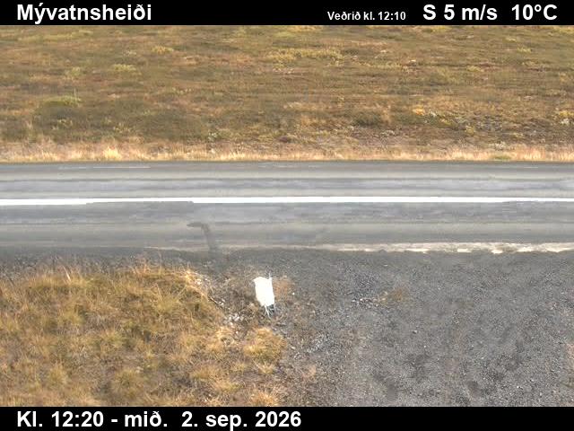 myvatnsheidi_2-1788359139.jpg