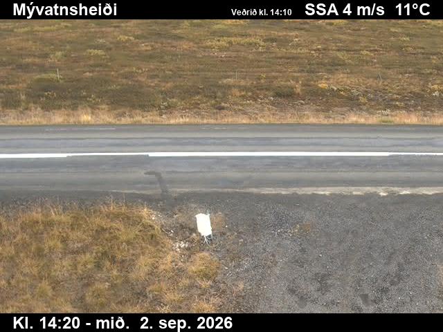 myvatnsheidi_2-1788366387.jpg
