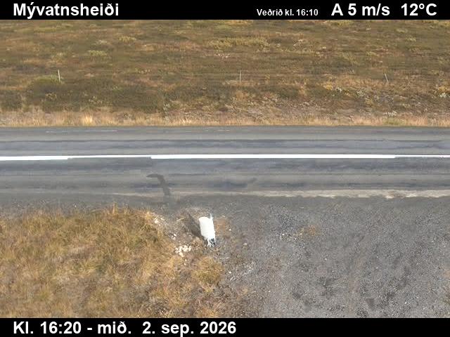 myvatnsheidi_2-1788373548.jpg