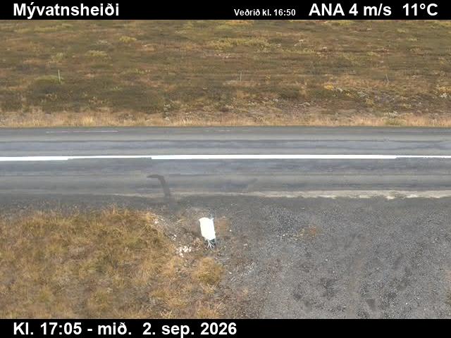 myvatnsheidi_2-1788375969.jpg