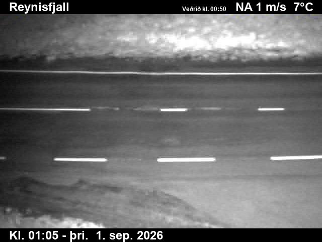 reynisfjall_2-1788232001.jpg