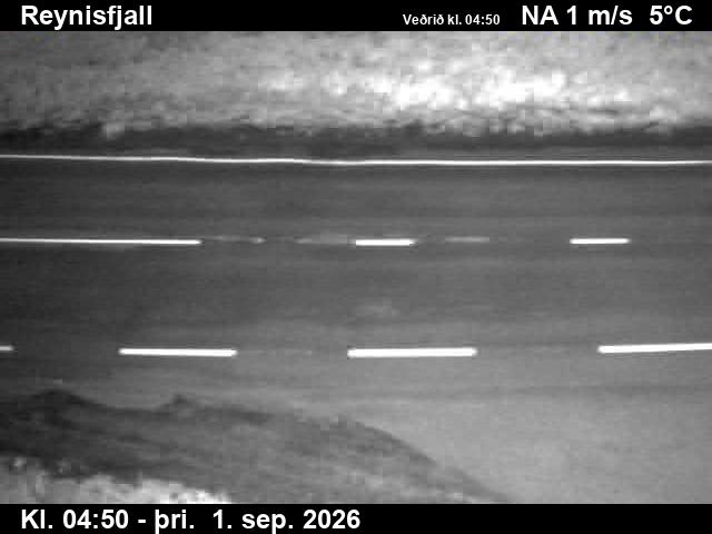 reynisfjall_2-1788246128.jpg