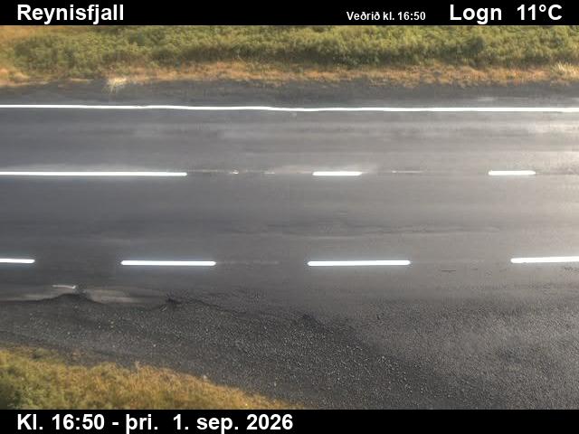 reynisfjall_2-1788289295.jpg