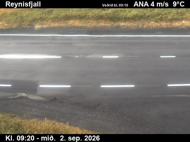 reynisfjall_2-1788348359.jpg