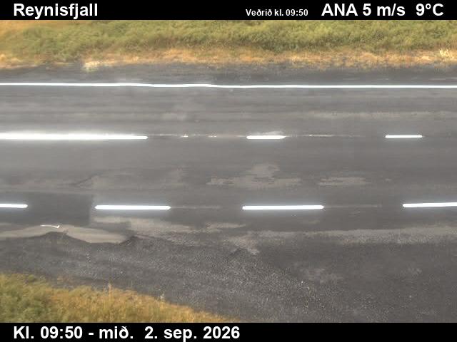 reynisfjall_2-1788350483.jpg