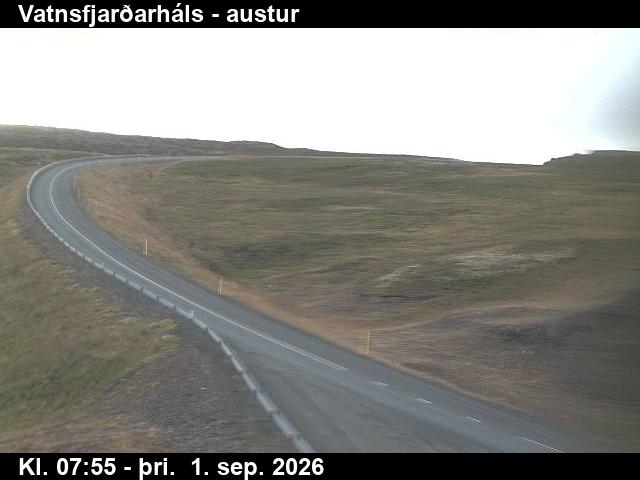 vatnsfjardarhals_1-1788256903.jpg