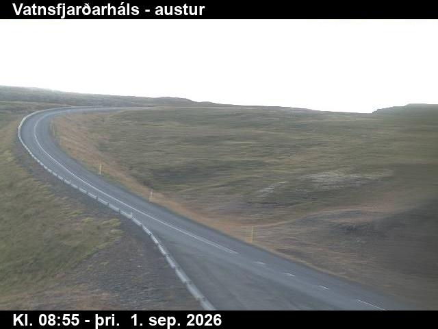 vatnsfjardarhals_1-1788260585.jpg