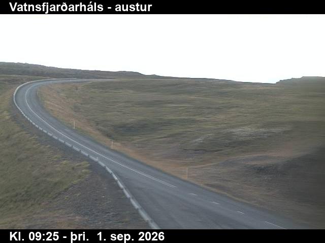 vatnsfjardarhals_1-1788261935.jpg