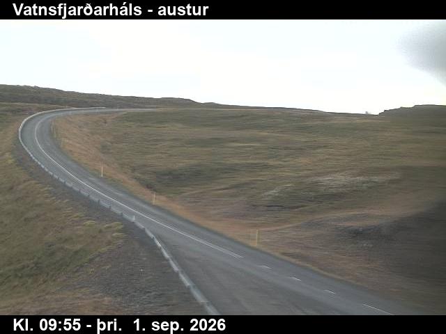 vatnsfjardarhals_1-1788264095.jpg