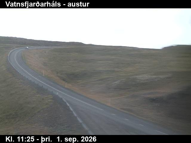 vatnsfjardarhals_1-1788269127.jpg