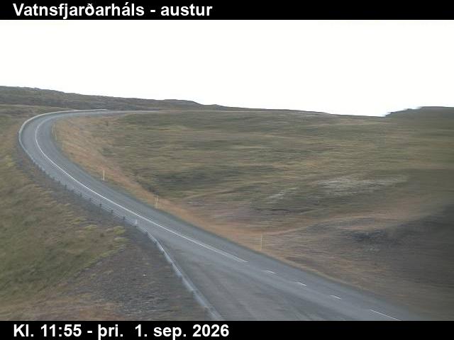 vatnsfjardarhals_1-1788271249.jpg