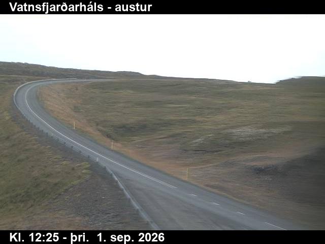 vatnsfjardarhals_1-1788272778.jpg