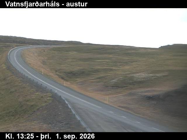 vatnsfjardarhals_1-1788276374.jpg