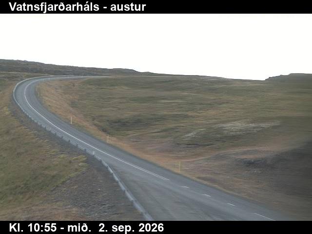 vatnsfjardarhals_1-1788354153.jpg