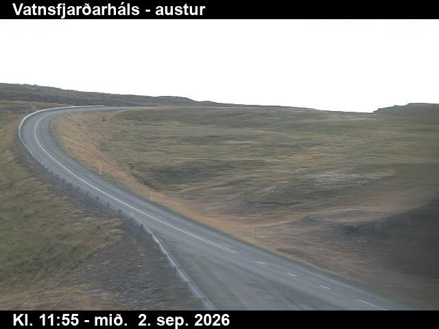 vatnsfjardarhals_1-1788357669.jpg