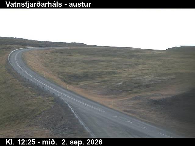 vatnsfjardarhals_1-1788359127.jpg