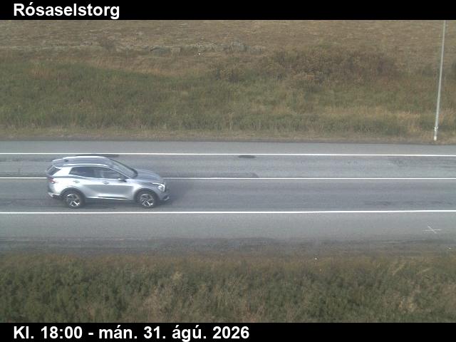 rosaselstorg_2-1788206515.jpg