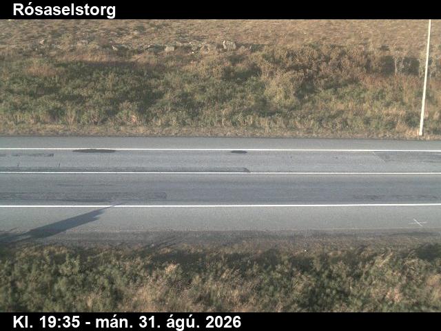 rosaselstorg_2-1788212271.jpg