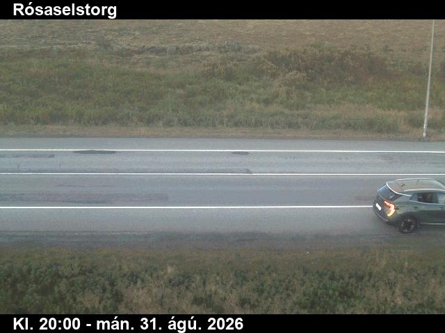 rosaselstorg_2-1788213689.jpg