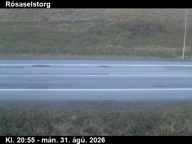 rosaselstorg_2-1788217265.jpg