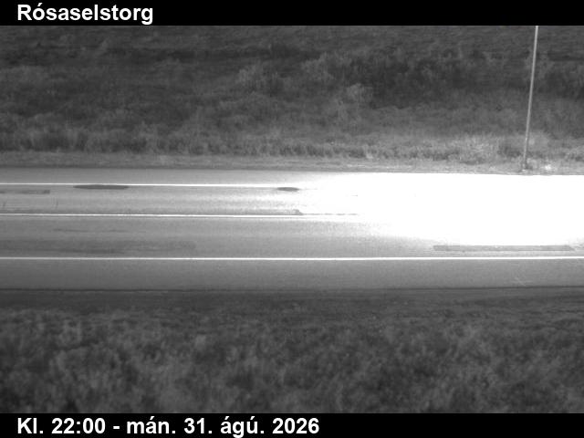 rosaselstorg_2-1788220932.jpg