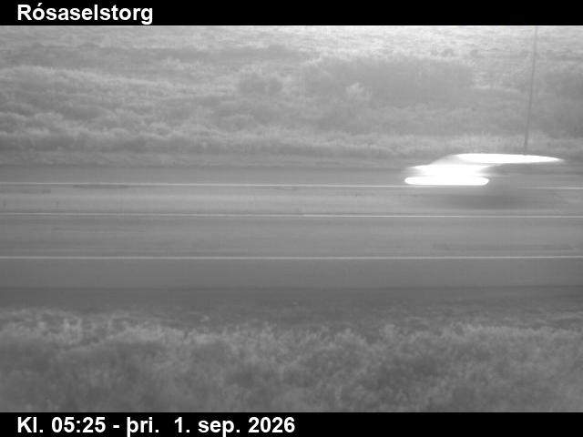rosaselstorg_2-1788247541.jpg