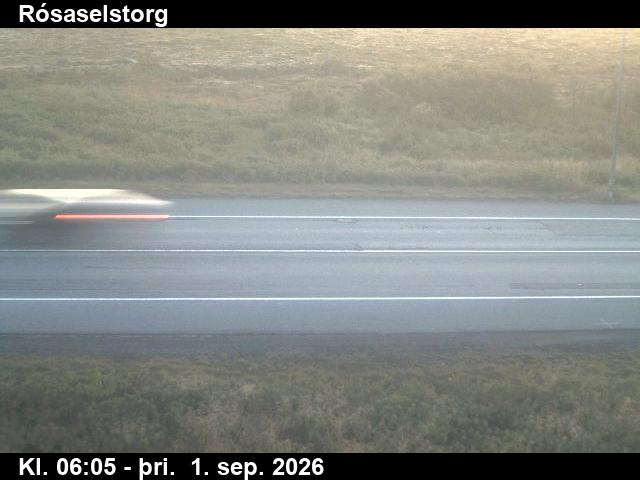 rosaselstorg_2-1788249972.jpg