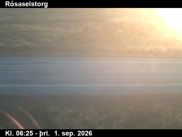 rosaselstorg_2-1788251145.jpg