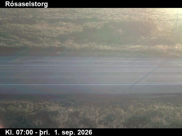 rosaselstorg_2-1788253265.jpg