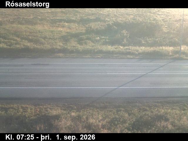 rosaselstorg_2-1788254791.jpg