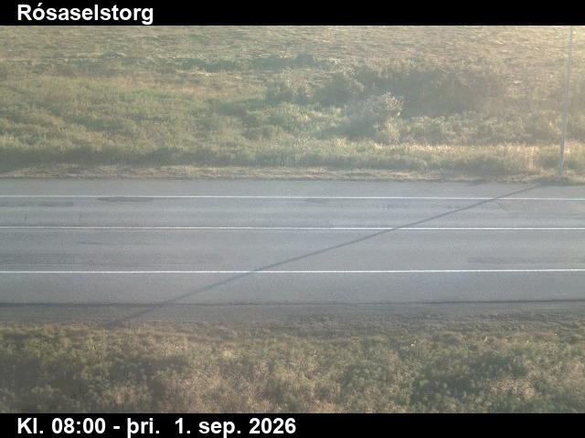 rosaselstorg_2-1788256903.jpg