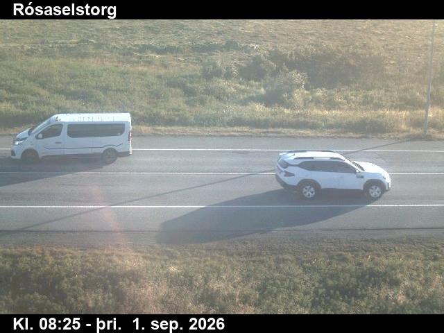 rosaselstorg_2-1788258492.jpg