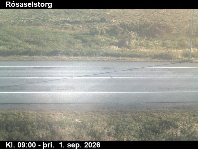 rosaselstorg_2-1788260586.jpg