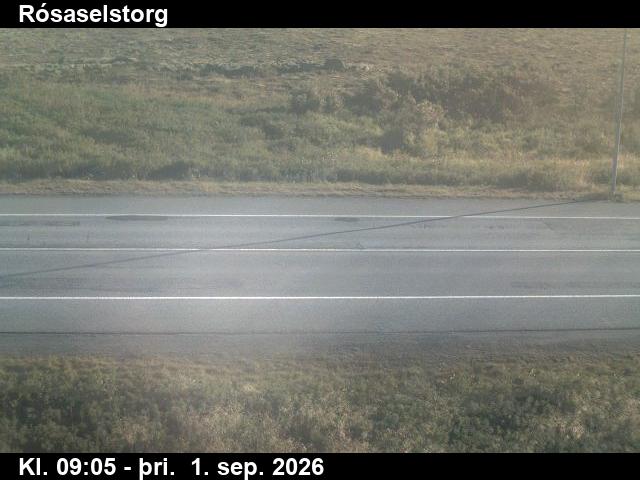rosaselstorg_2-1788260794.jpg
