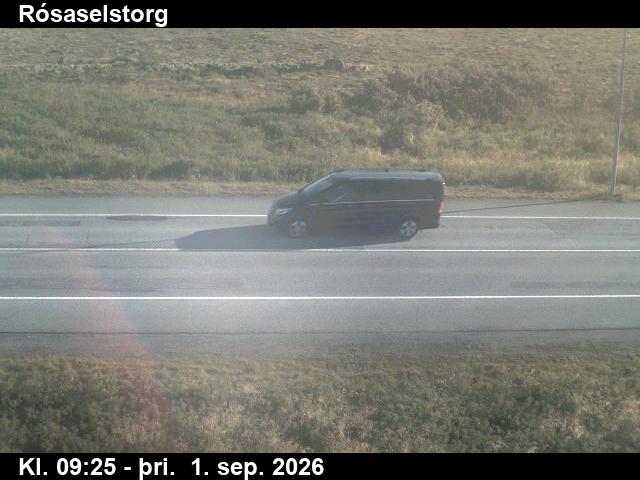 rosaselstorg_2-1788261936.jpg