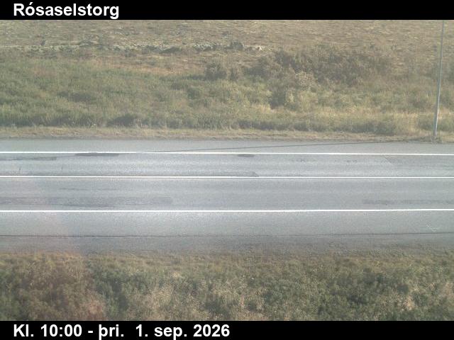 rosaselstorg_2-1788264068.jpg