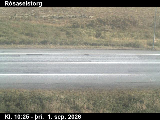rosaselstorg_2-1788265565.jpg