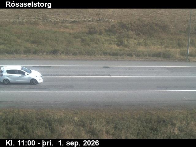 rosaselstorg_2-1788267722.jpg