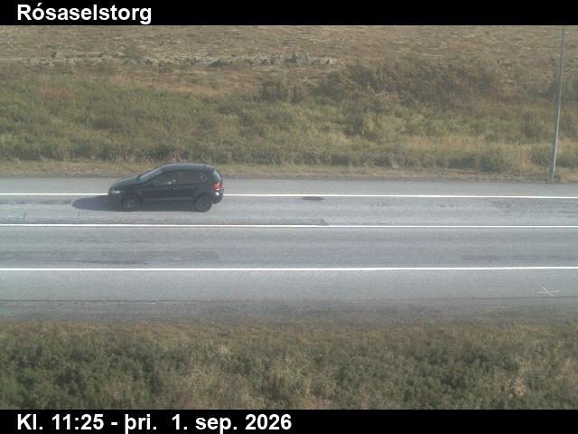 rosaselstorg_2-1788269127.jpg