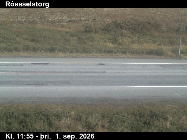 rosaselstorg_2-1788271231.jpg