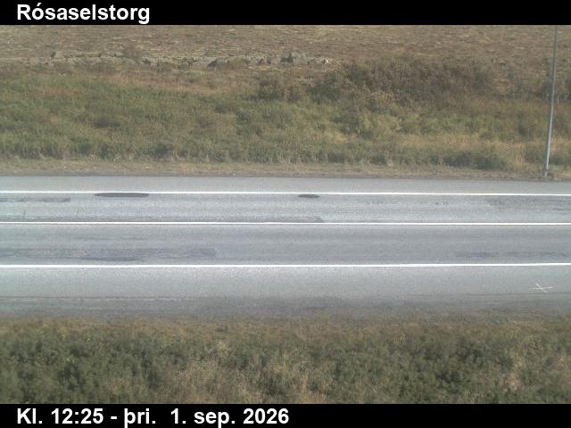 rosaselstorg_2-1788272749.jpg