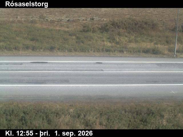 rosaselstorg_2-1788274842.jpg
