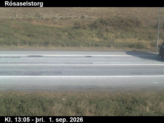 rosaselstorg_2-1788275173.jpg
