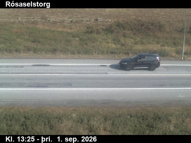 rosaselstorg_2-1788276348.jpg