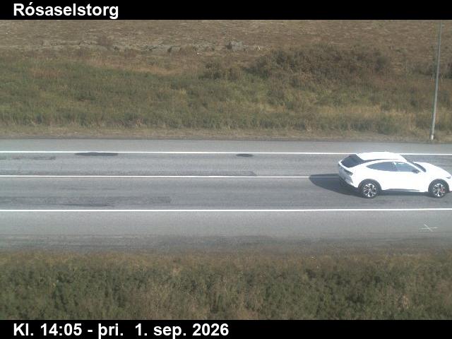 rosaselstorg_2-1788278741.jpg
