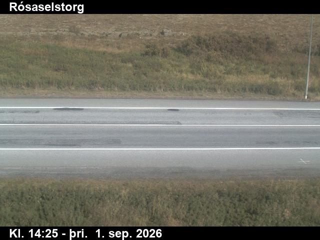 rosaselstorg_2-1788279971.jpg