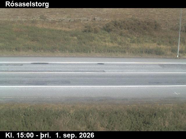 rosaselstorg_2-1788282078.jpg