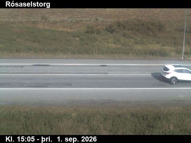 rosaselstorg_2-1788282385.jpg