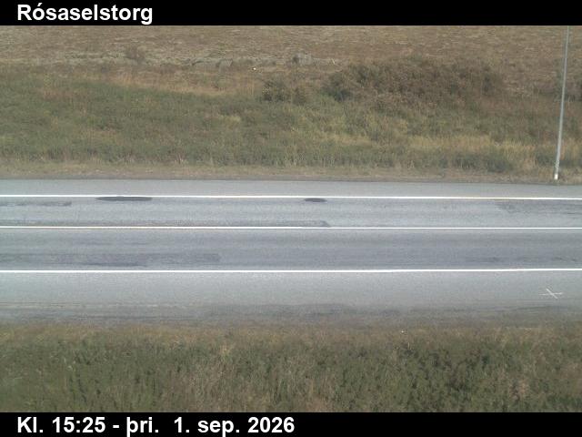 rosaselstorg_2-1788283552.jpg