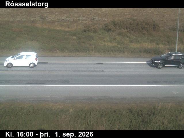rosaselstorg_2-1788285708.jpg
